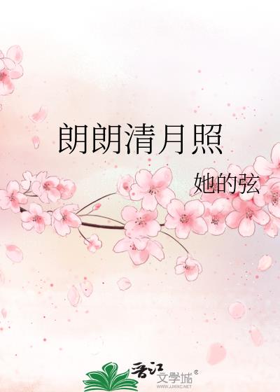 揽流光