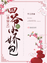 重生南非当警察